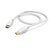 Hama Oplaadkabel USB C - USB C 150 cm Wit