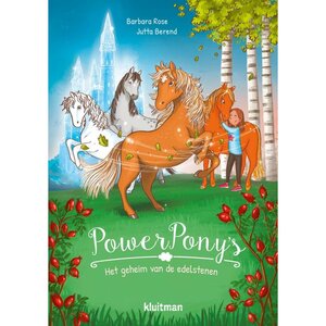 Boek Powerpony's Het Geheim dan de Edelstenen