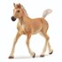 Schleich Haflinger Veulen_