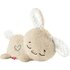 Fisher Price Soothe and Settle Knuffel Konijn + Licht en Geluid_