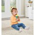 VTech Baby Dierenvriendjes Microfoon + Licht en Geluid_