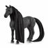 Schleich Horse Club Schoonheidspaard Criollo Definitivo Merrie_