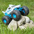 Monster Jam RC Megalodon Storm 1:15 voor Elk Terrein_