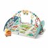 Fisher Price XL Activiteiten Speelmat 113 cm + Licht en Geluid_