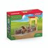 Schleich Ponybox met IJslanderhengst_