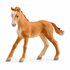 Schleich Horse Club Manege_