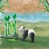 Playmobil 71060 Wiltopia Panda_