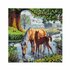 Craft Buddy Crystal Art Diamond Painting Paarden_