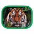 Mepal Campus Lunchbox Wild Tiger Groen_